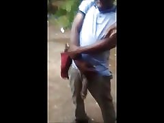 Zobrazuje sa kôň kohút pre dievky