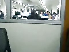 Knižnica prstoklad podľa loyalsock