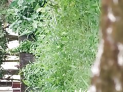 Srí Lanky Vonkajší pár v chôdzi parlamentu sledovať